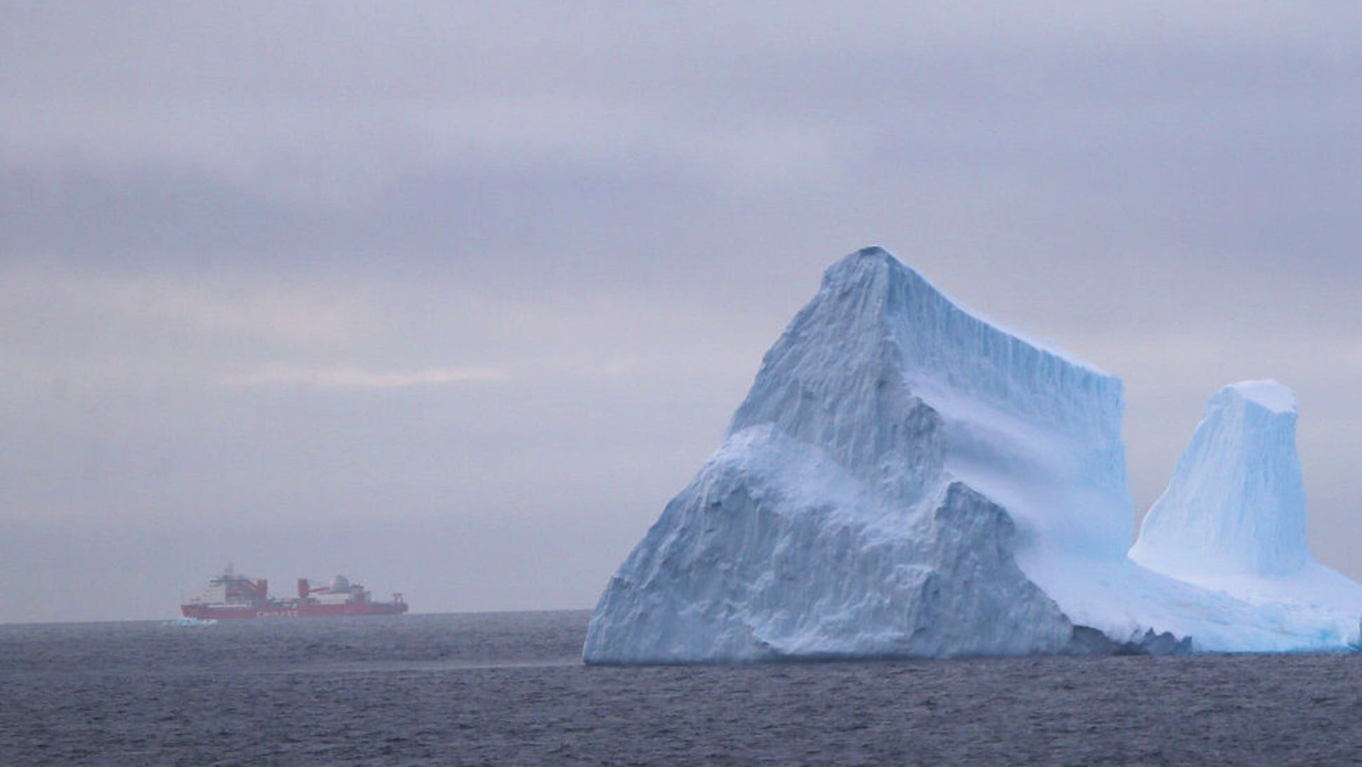 Are Scientists Dishonest or Afraid?